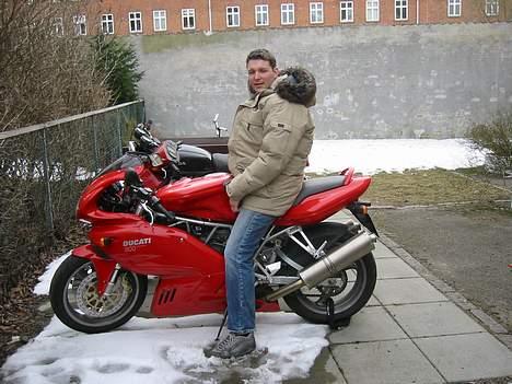 Ducati 800 ss billede 8