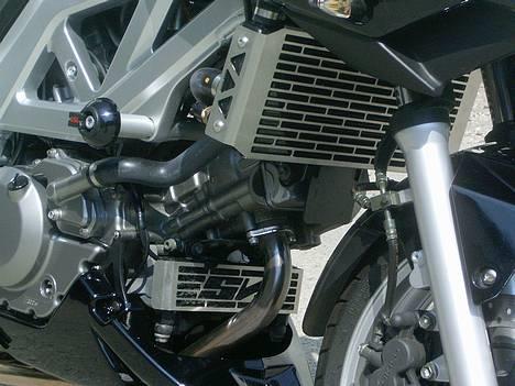 Suzuki SV650S (solgt) billede 3