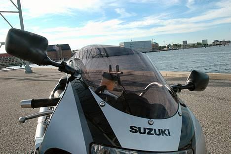 Suzuki GSX-R 600 - Tonet kåbeglas billede 4