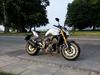 Yamaha FZ8-N