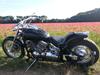 Yamaha dragstar xvs 650  (tidligere mc )