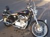 Harley Davidson Sportster 883 XL Custom * solgt * [Tidl. motorcykel]