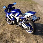 Yamaha Yzf R6