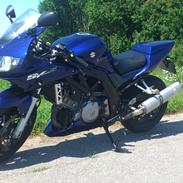 Suzuki SV 1000 s