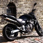 Honda CB 600 Hornet