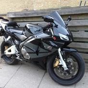 Honda CBR RR 600