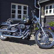 Harley Davidson Fxstb "Night Train"