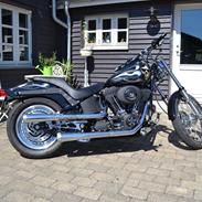 Harley Davidson Fxstb "Night Train"