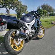 Honda CBR 900 RR Fireblade SC28