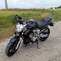 Yamaha FZ6-N