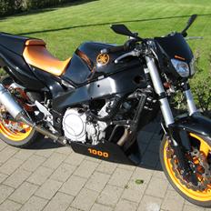 Yamaha FZR 1000 Streetfighter