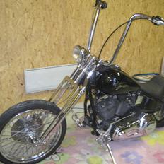 Harley Davidson stivstellet