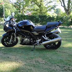 Suzuki SV 1000 S