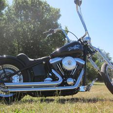 Harley Davidson stivstellet