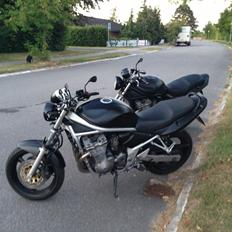 Suzuki Bandit