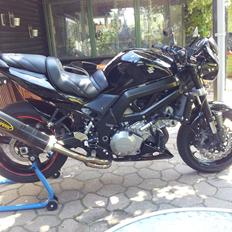 Suzuki SV1000N
