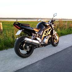 Suzuki SV1000