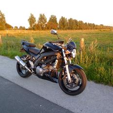Suzuki SV1000