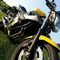 Yamaha XJ6-N