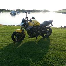 Yamaha XJ6-N