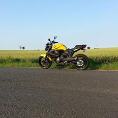 Yamaha XJ6-N