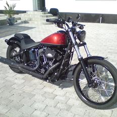 Harley Davidson Blackline