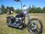 Harley Davidson stivstellet