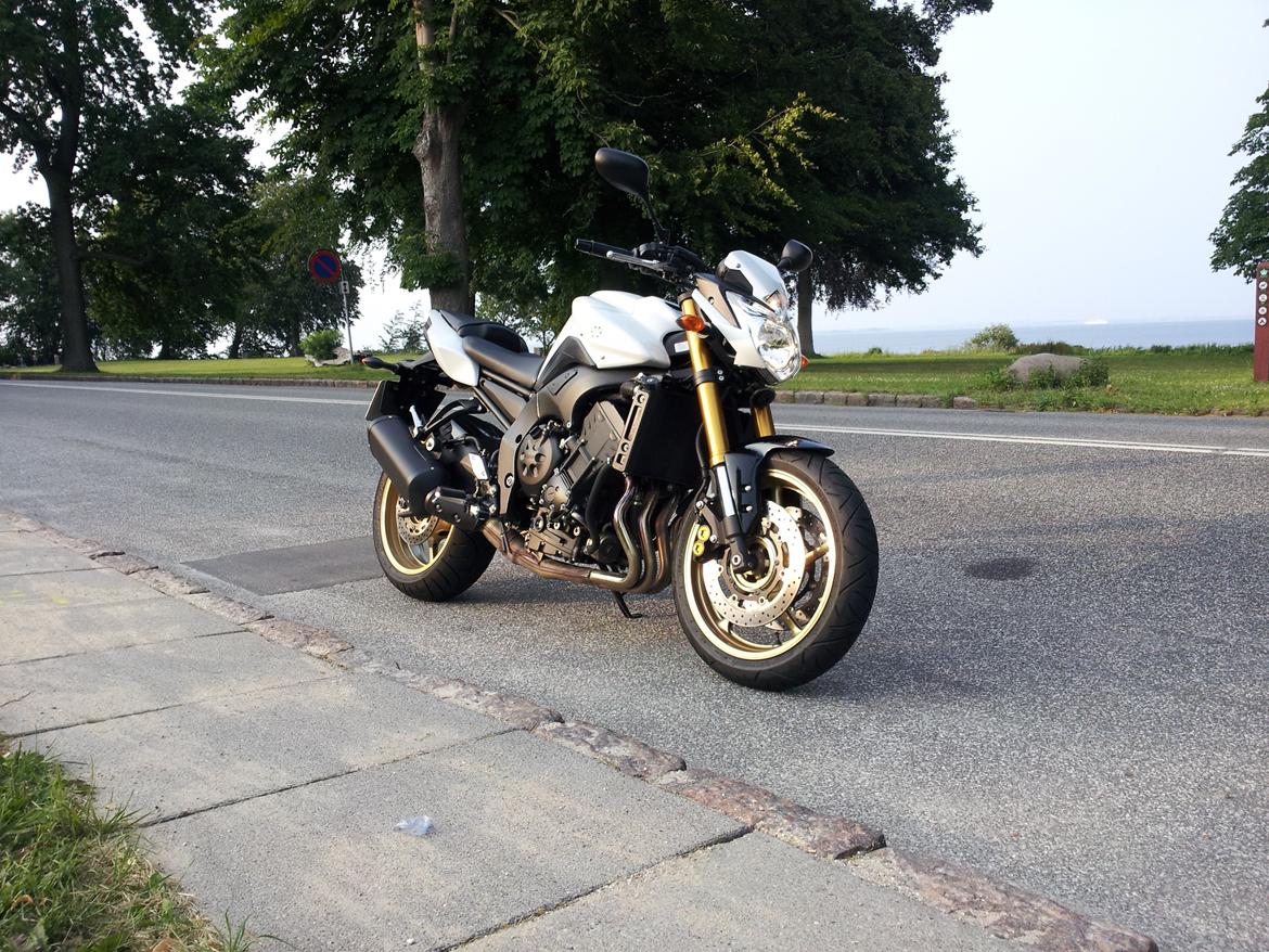 Yamaha FZ8-N billede 2