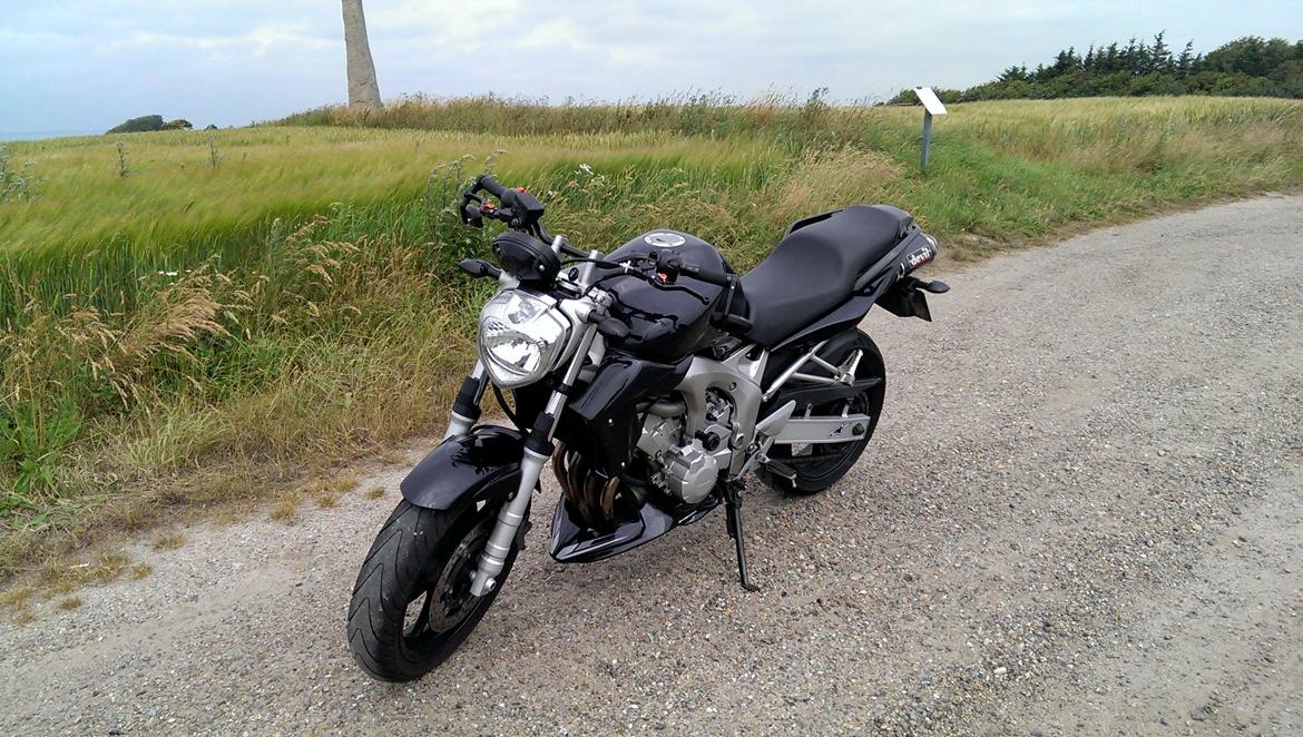 Yamaha FZ6-N billede 3