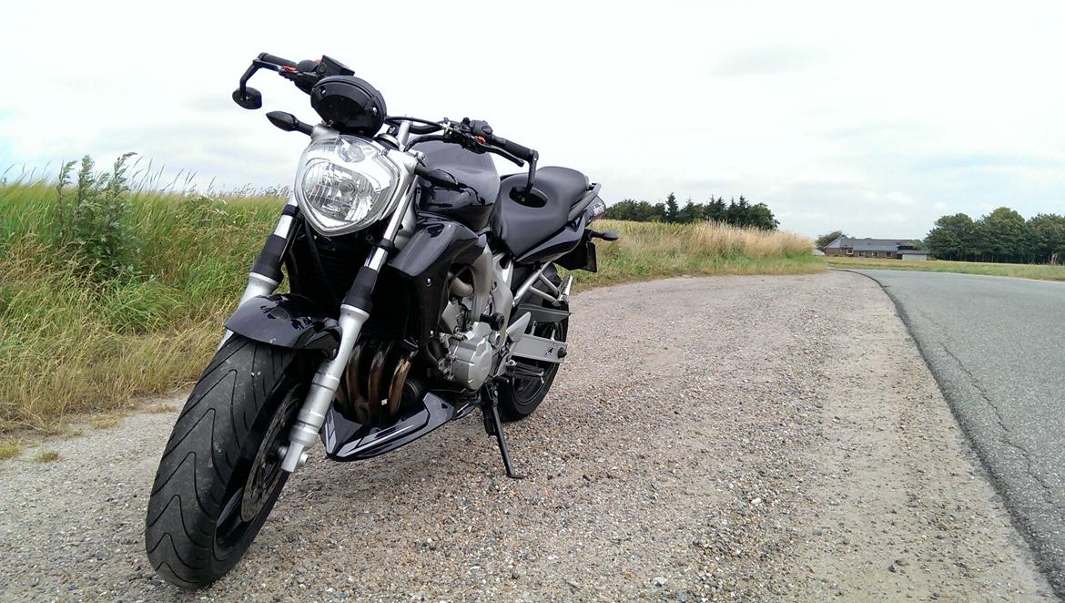 Yamaha FZ6-N billede 9