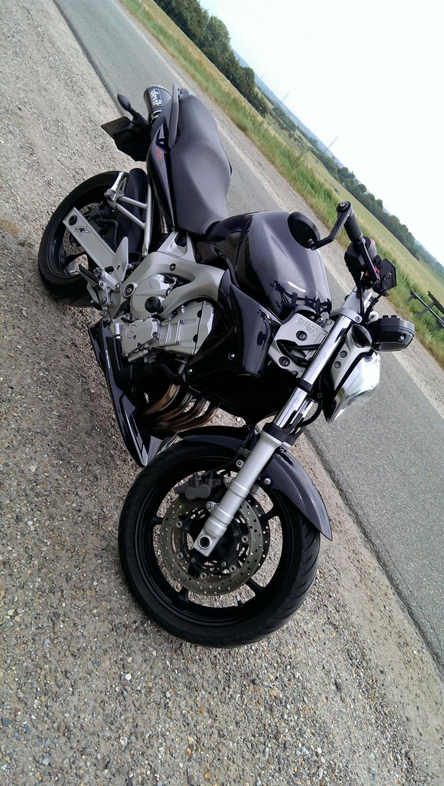 Yamaha FZ6-N billede 6