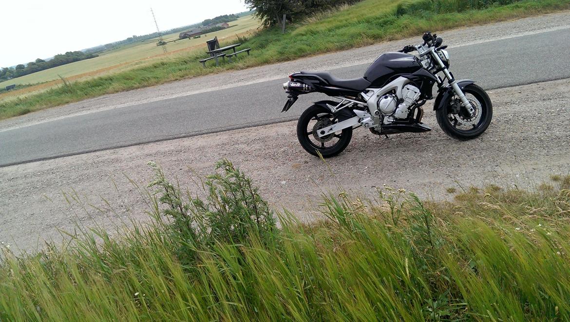 Yamaha FZ6-N billede 10