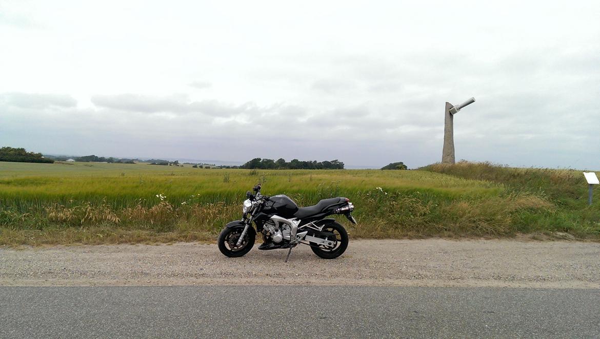 Yamaha FZ6-N billede 14