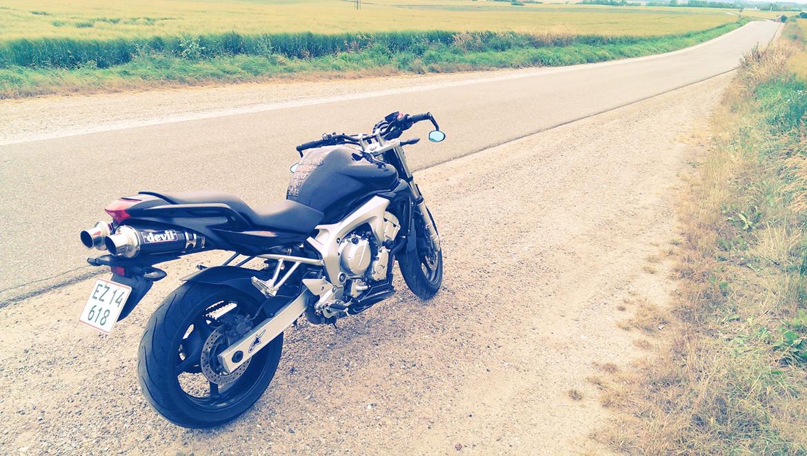 Yamaha FZ6-N billede 8