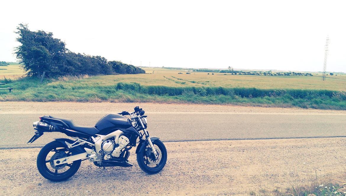 Yamaha FZ6-N billede 2