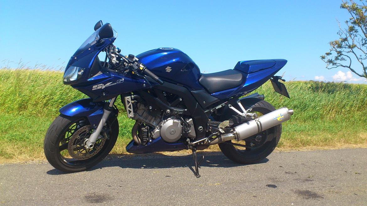Suzuki SV 1000 s billede 1