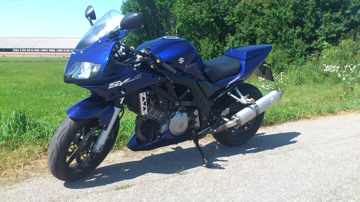 Suzuki SV 1000 s billede 2