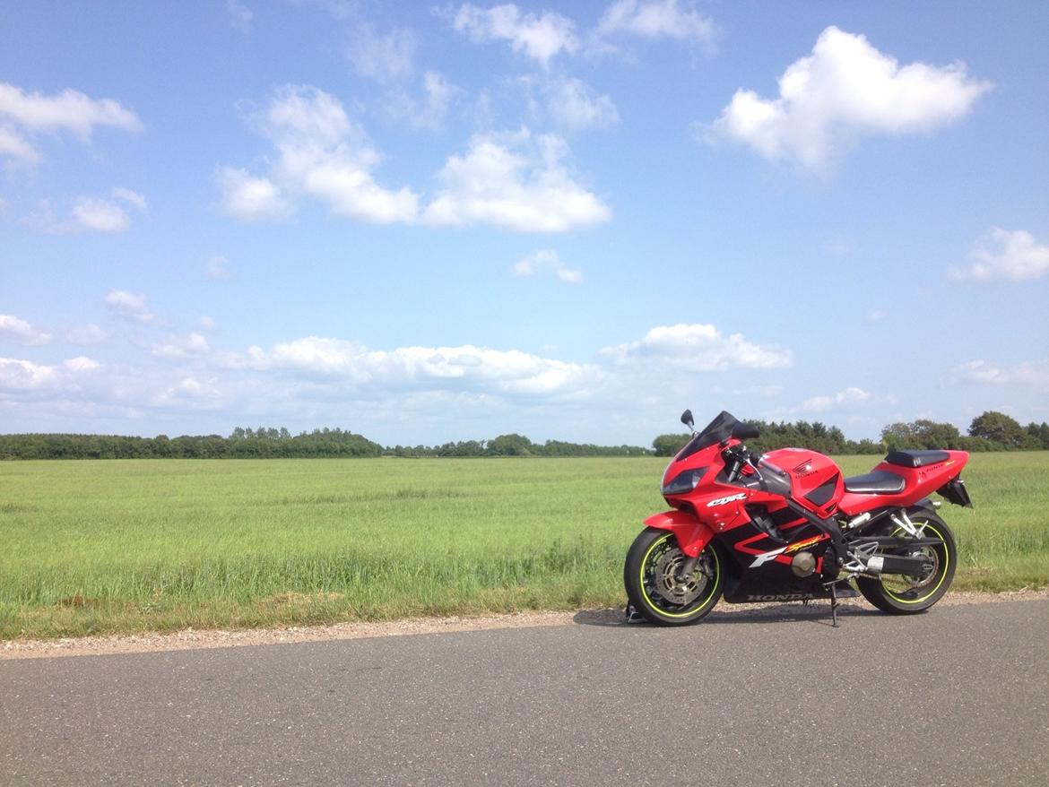 Honda CBR 600 F4i sport billede 18