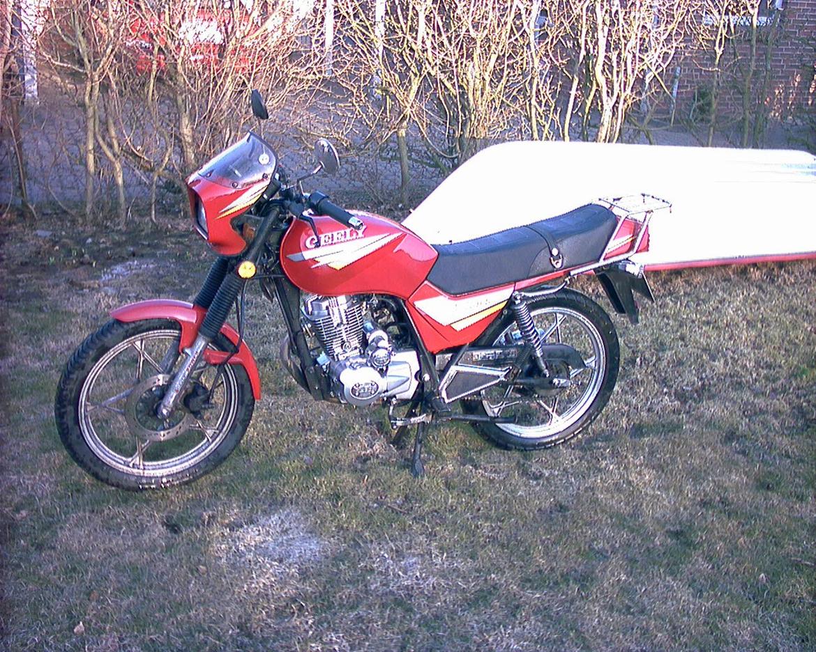 Geely Grand Puma 150 billede 15