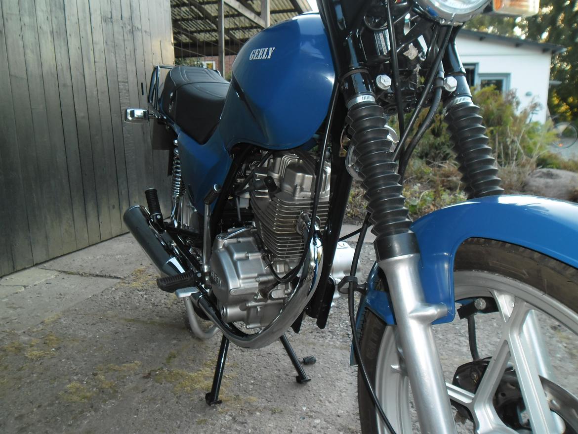 Geely Grand Puma 150 billede 8