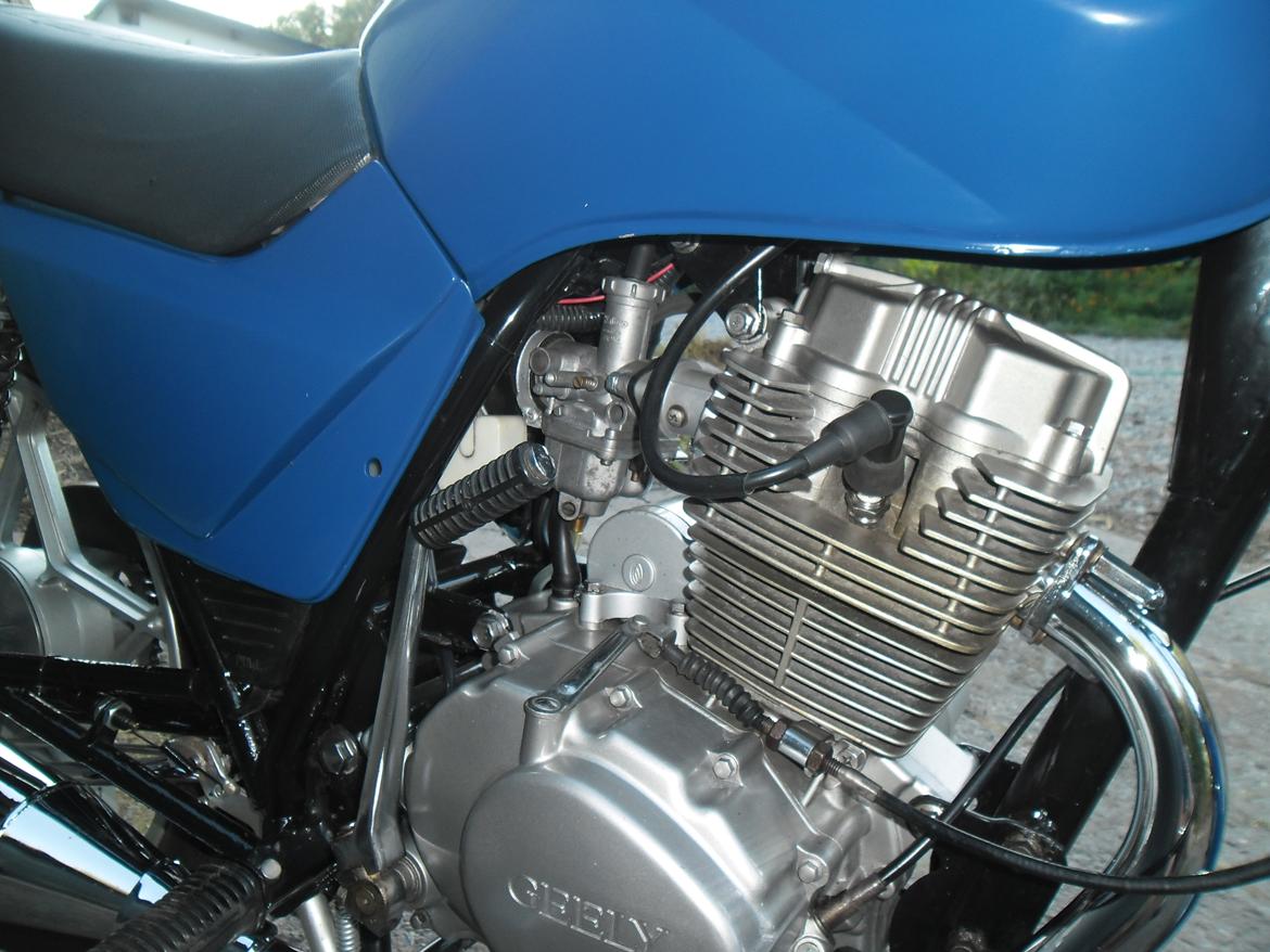 Geely Grand Puma 150 billede 9