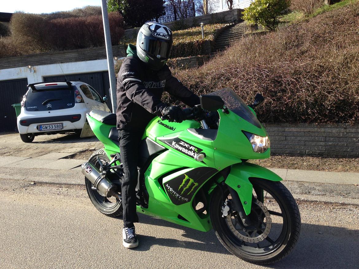 Kawasaki Ninja 250r Monster Edition billede 8