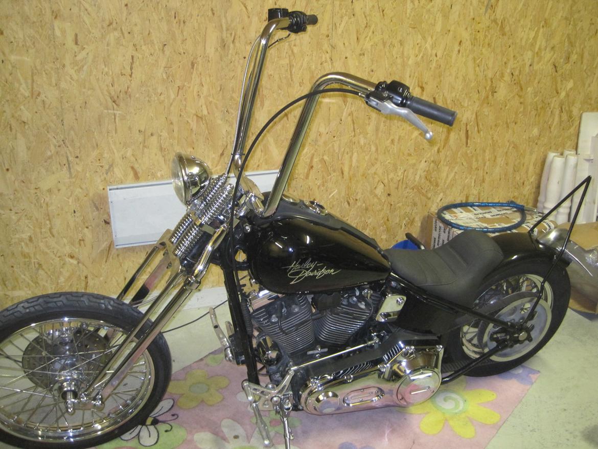 Harley Davidson stivstellet billede 8