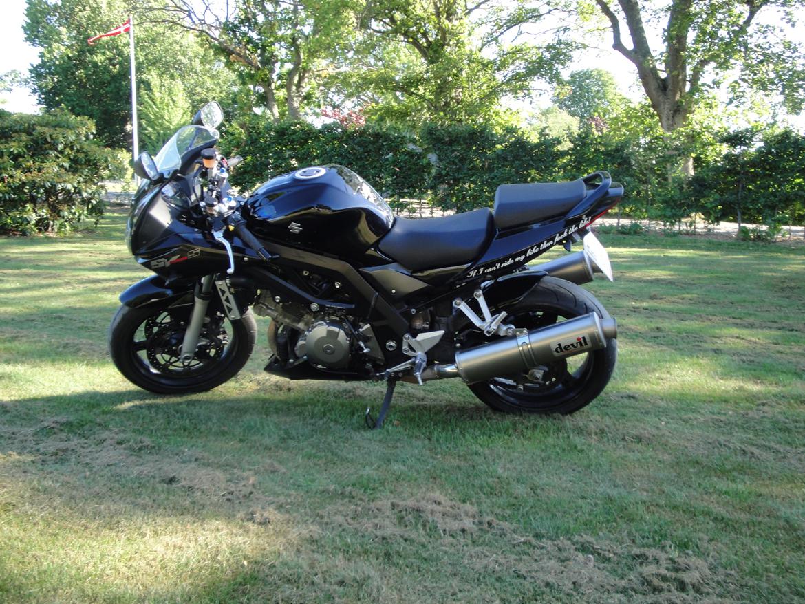 Suzuki SV 1000 S billede 1