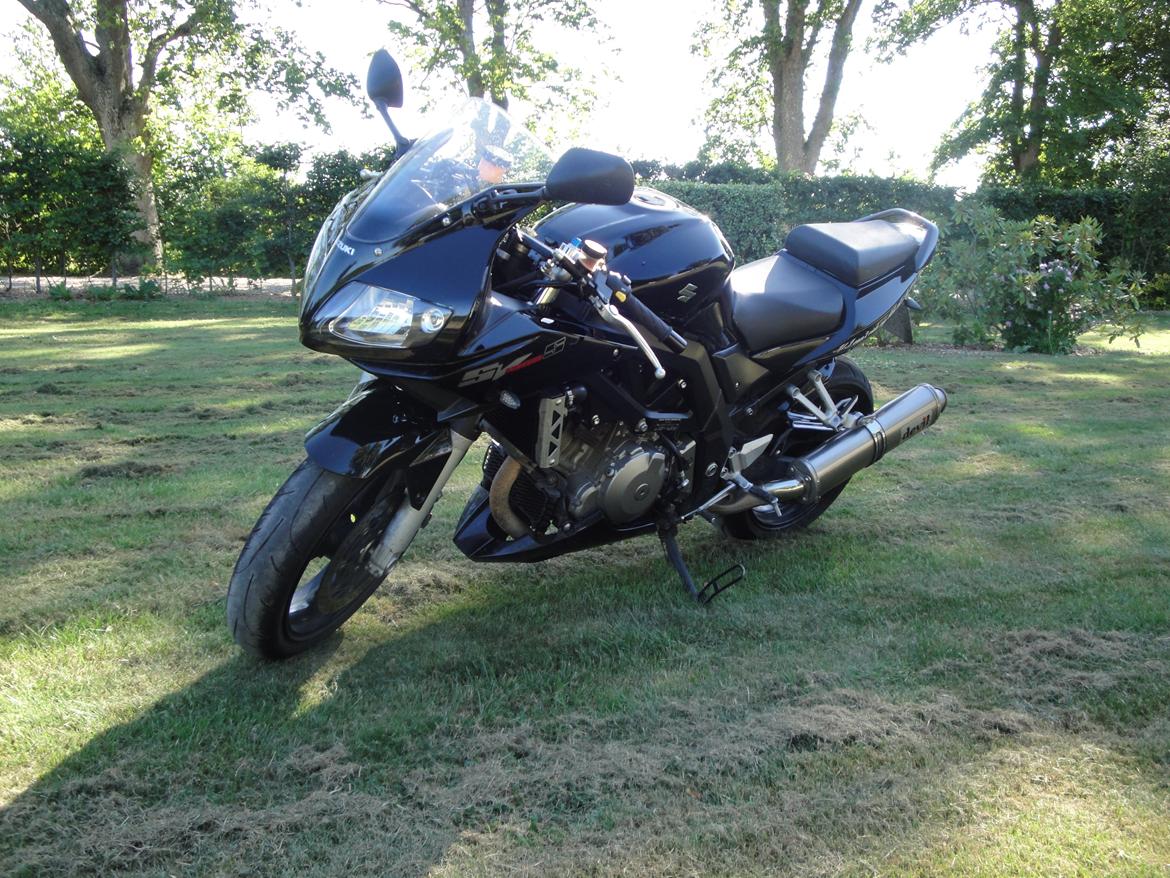 Suzuki SV 1000 S billede 2