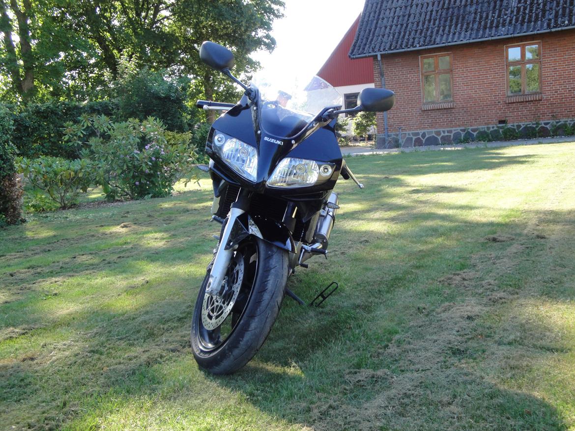 Suzuki SV 1000 S billede 4