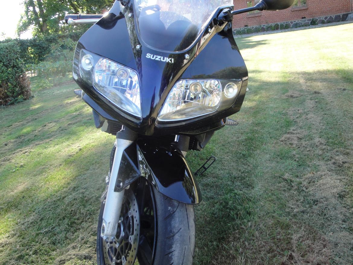 Suzuki SV 1000 S billede 5