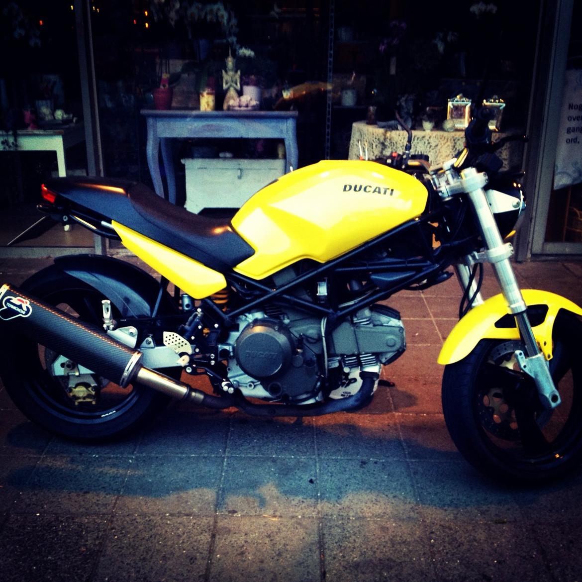 Ducati Monster billede 1
