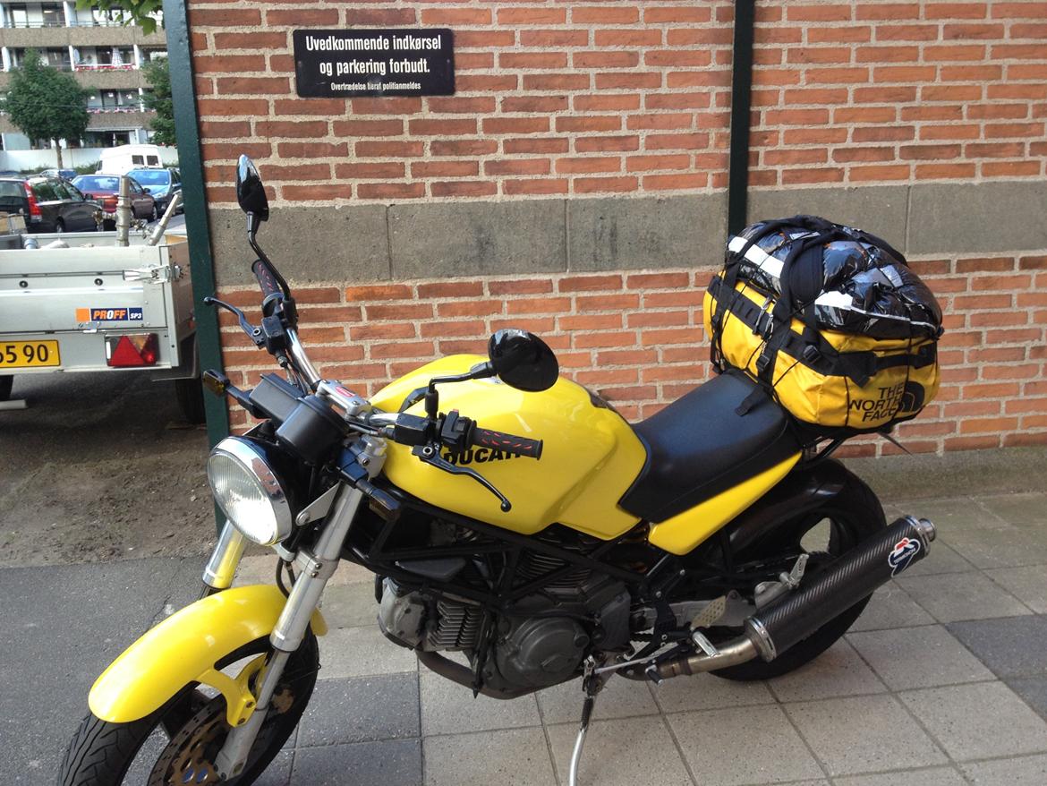 Ducati Monster billede 4