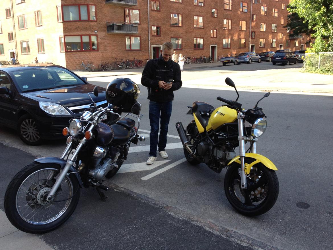 Ducati Monster billede 8